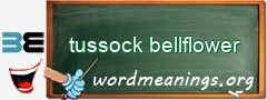 WordMeaning blackboard for tussock bellflower